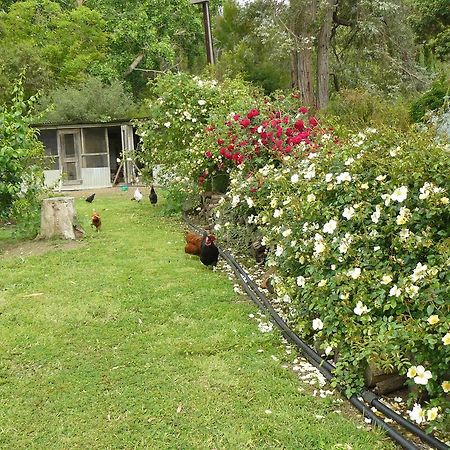 Camawald Coonawarra Cottage B&B ห้อง รูปภาพ